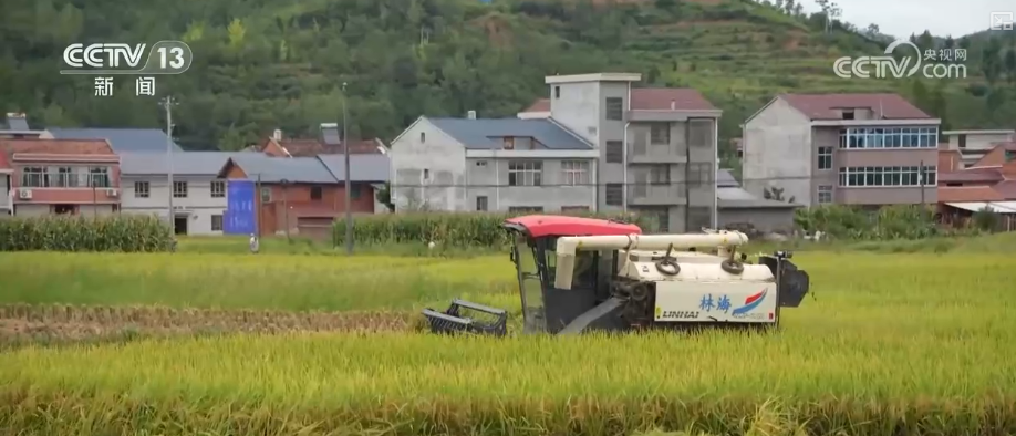 流“金”沃野奏响“丰收曲” 好“丰”景里科技含量足