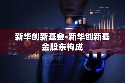 新华创新基金-新华创新基金股东构成