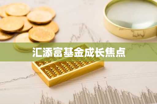 汇添富基金成长焦点