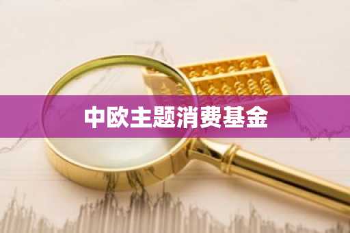 中欧主题消费基金
