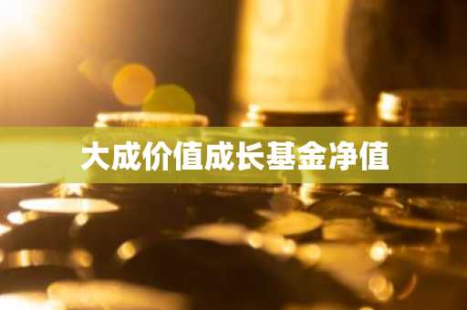 大成价值成长基金净值