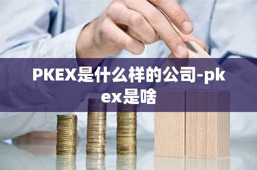 PKEX是什么样的公司-pkex是啥