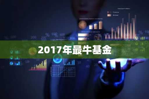 2017年最牛基金