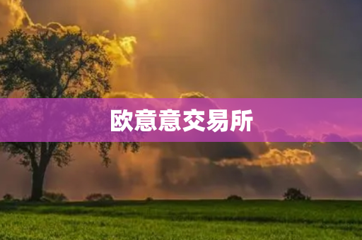 欧意意交易所