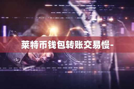 莱特币钱包转账交易慢-