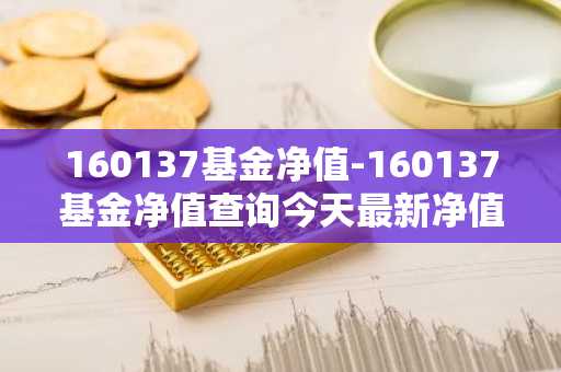 160137基金净值-160137基金净值查询今天最新净值