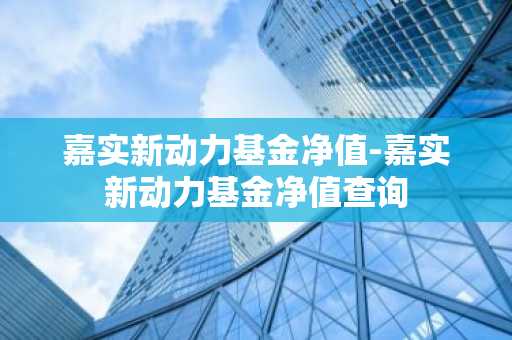 嘉实新动力基金净值-嘉实新动力基金净值查询