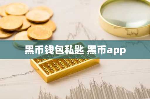 黑币钱包私匙 黑币app