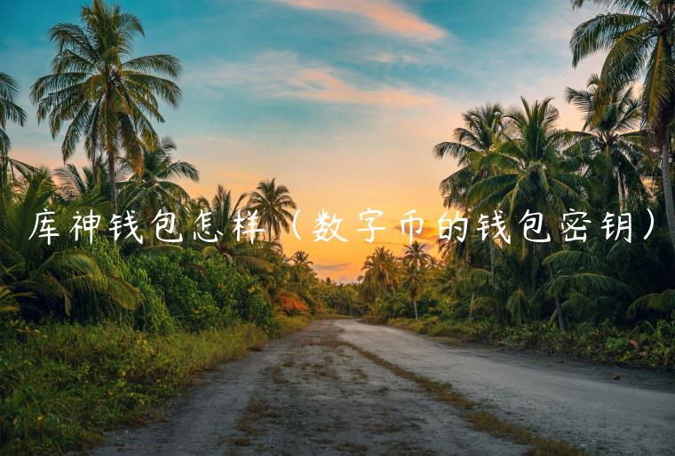 库神钱包怎样（数字币的钱包密钥）