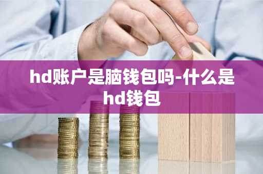 hd账户是脑钱包吗-什么是hd钱包