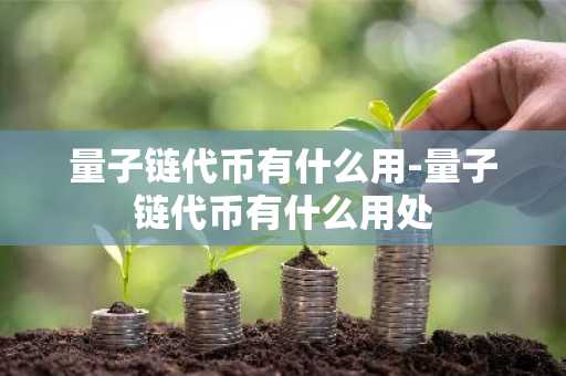 量子链代币有什么用-量子链代币有什么用处