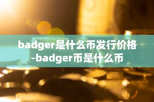 badger是什么币发行价格-badger币是什么币