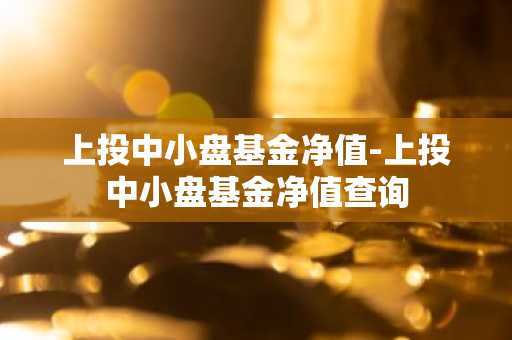 上投中小盘基金净值-上投中小盘基金净值查询