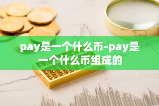 pay是一个什么币-pay是一个什么币组成的