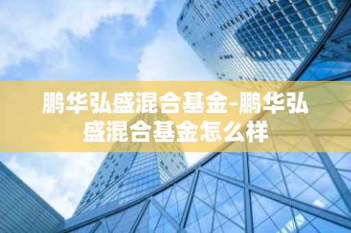 鹏华弘盛混合基金-鹏华弘盛混合基金怎么样