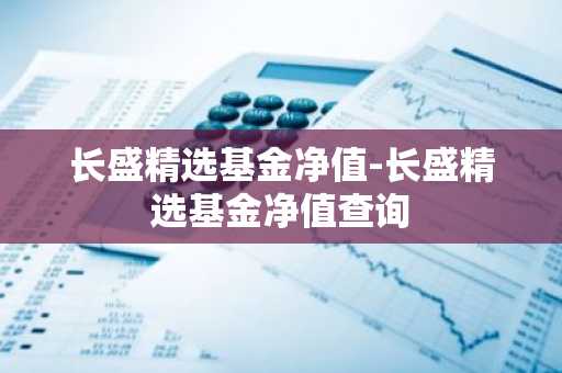 长盛精选基金净值-长盛精选基金净值查询