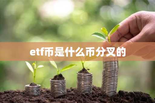 etf币是什么币分叉的