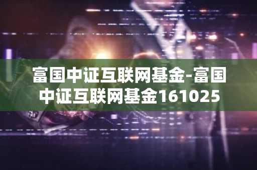 富国中证互联网基金-富国中证互联网基金161025