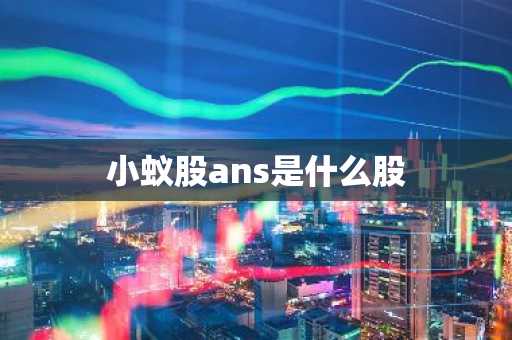 小蚁股ans是什么股