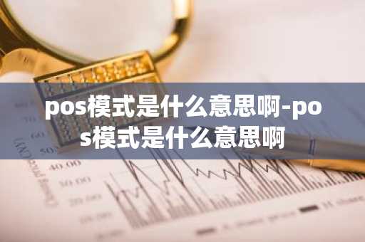 pos模式是什么意思啊-pos模式是什么意思啊
