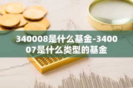 340008是什么基金-340007是什么类型的基金