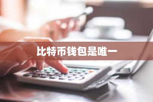 比特币钱包是唯一