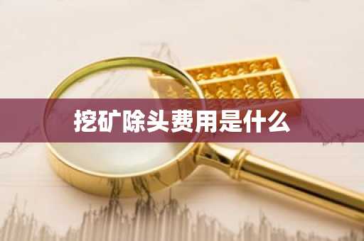 挖矿除头费用是什么