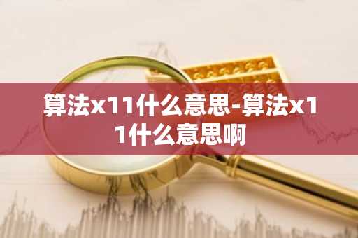 算法x11什么意思-算法x11什么意思啊