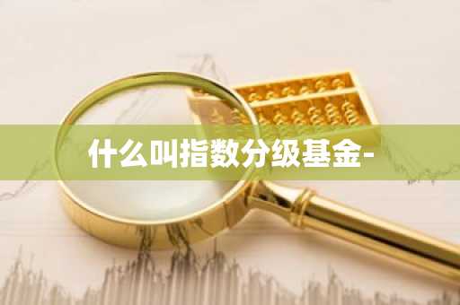什么叫指数分级基金-