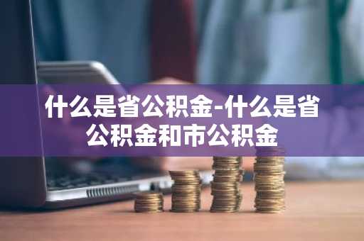 什么是省公积金-什么是省公积金和市公积金