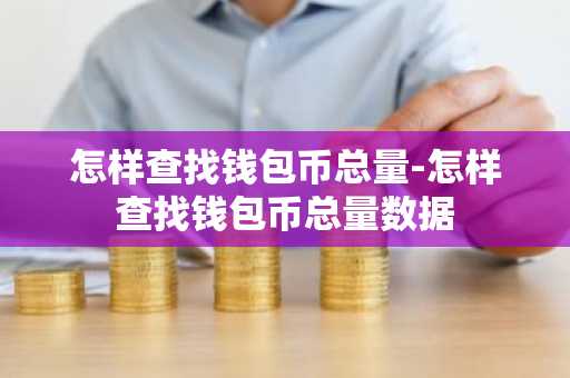 怎样查找钱包币总量-怎样查找钱包币总量数据