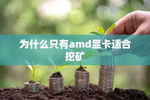 为什么只有amd显卡适合挖矿
