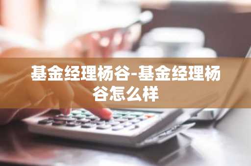 基金经理杨谷-基金经理杨谷怎么样