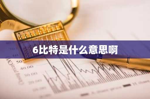 6比特是什么意思啊