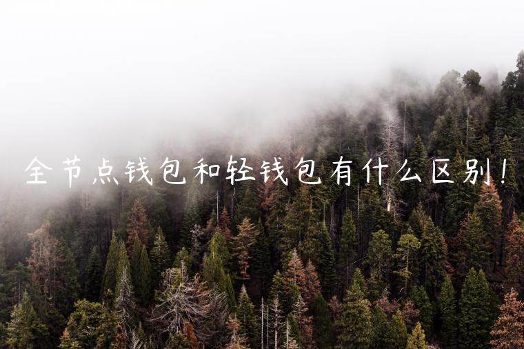 全节点钱包和轻钱包有什么区别!