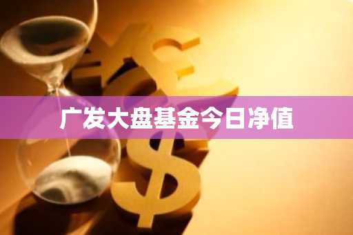 广发大盘基金今日净值