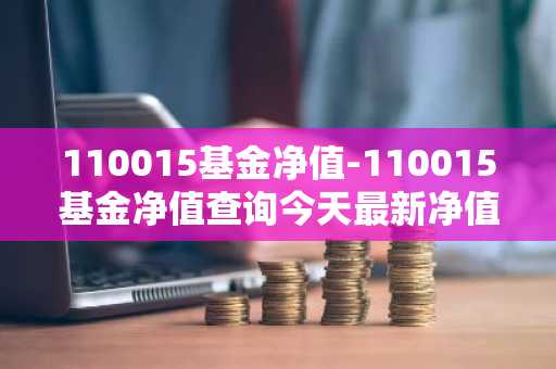 110015基金净值-110015基金净值查询今天最新净值