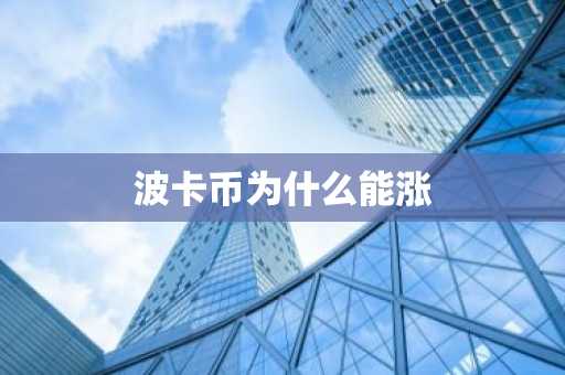 波卡币为什么能涨
