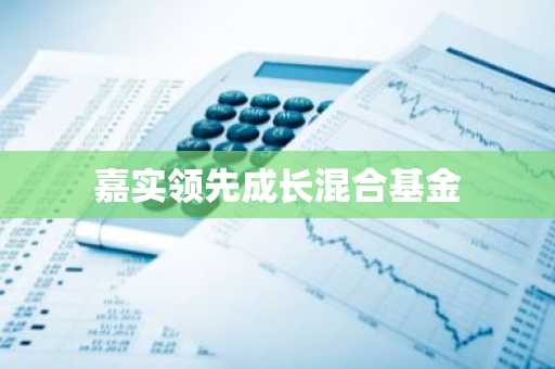 嘉实领先成长混合基金