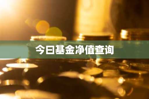 今曰基金净值查询