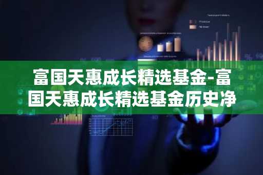 富国天惠成长精选基金-富国天惠成长精选基金历史净值查询