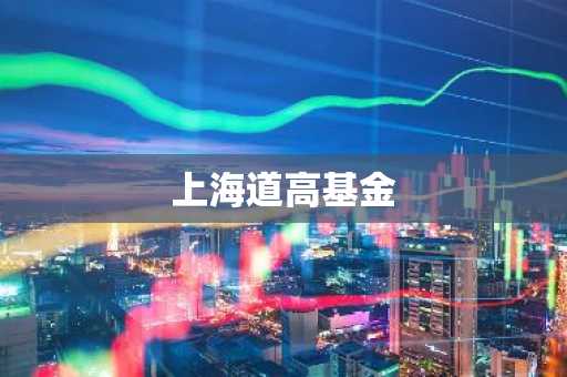 上海道高基金