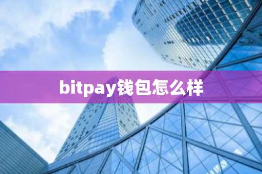 bitpay钱包怎么样
