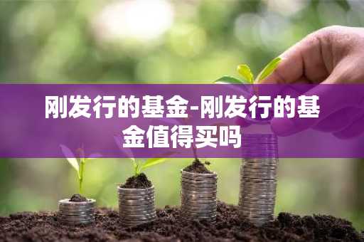 刚发行的基金-刚发行的基金值得买吗