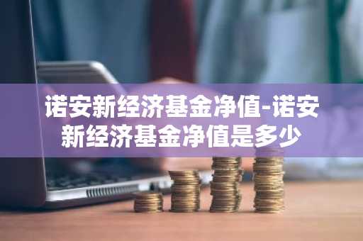 诺安新经济基金净值-诺安新经济基金净值是多少