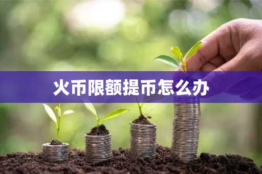 火币限额提币怎么办