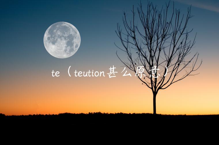 t（tution甚么原意）