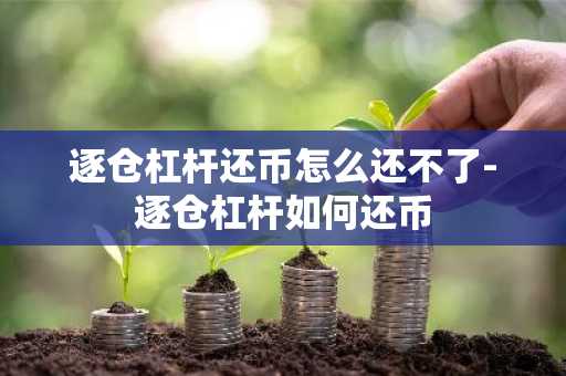 逐仓杠杆还币怎么还不了-逐仓杠杆如何还币