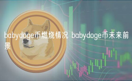 babydog币燃烧情况 babydog币未来前景