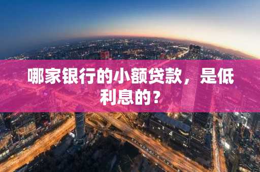 哪家银行的小额贷款，是低利息的？
